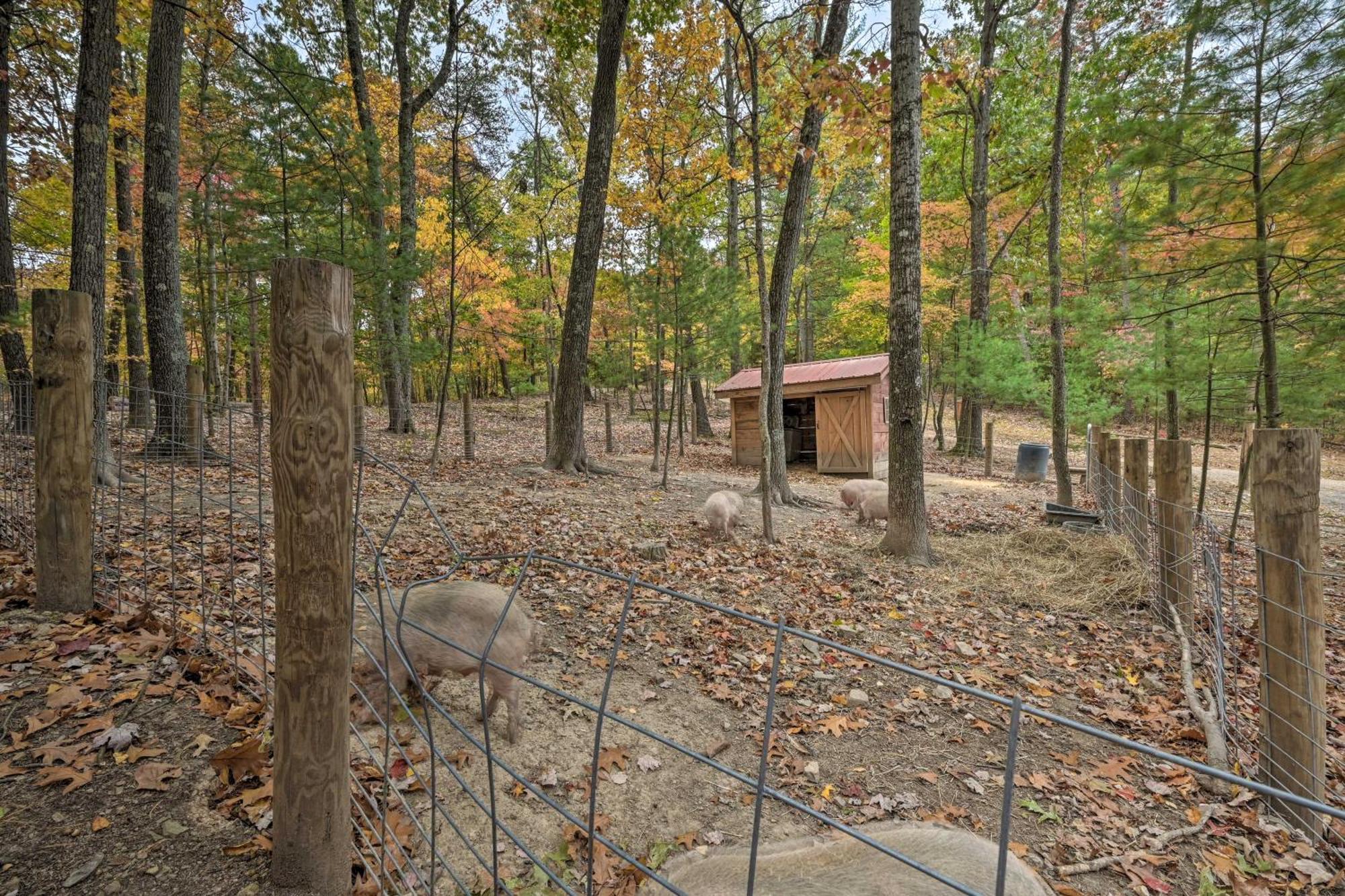 Lone Ranger Cabin With 50 Acres By Raystown Lake Huntingdon Eksteriør billede